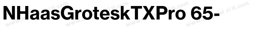 NHaasGroteskTXPro 65字体转换